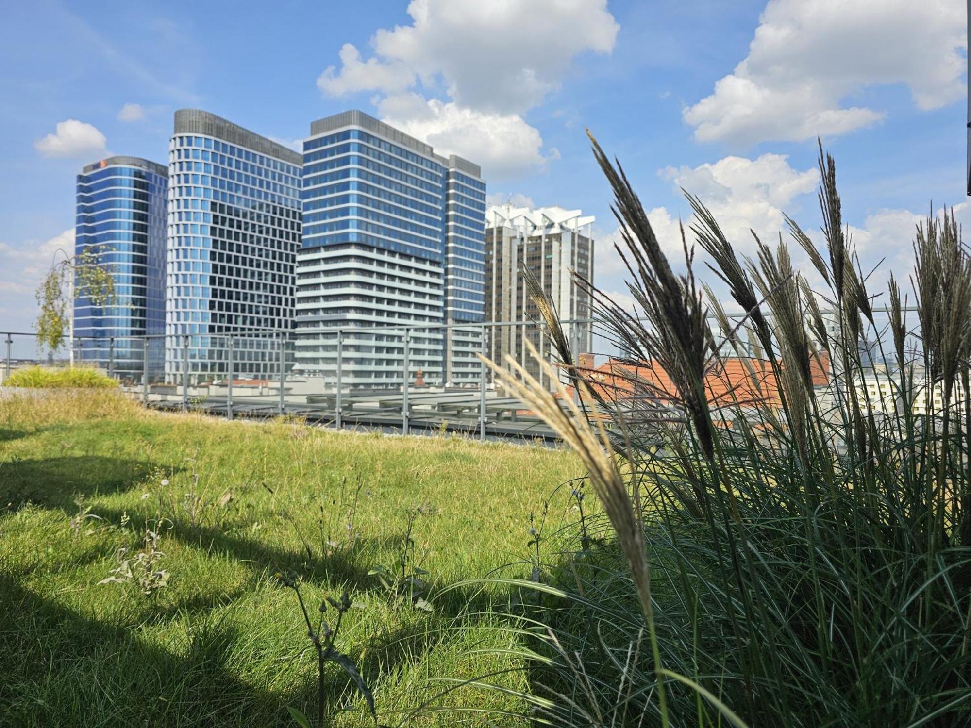 Urban Apartments Premium, Opolska 10 No 80, Free Garage, Self Check-In Katowice Ngoại thất bức ảnh